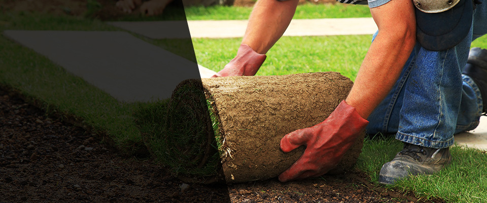 Gainesboro Landscapers